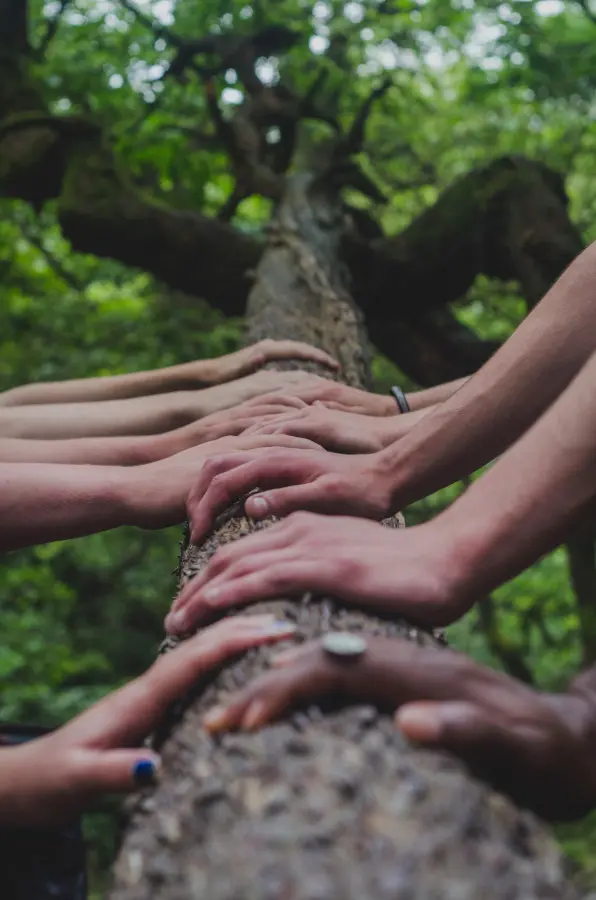 Human Hands on Tree Trunk